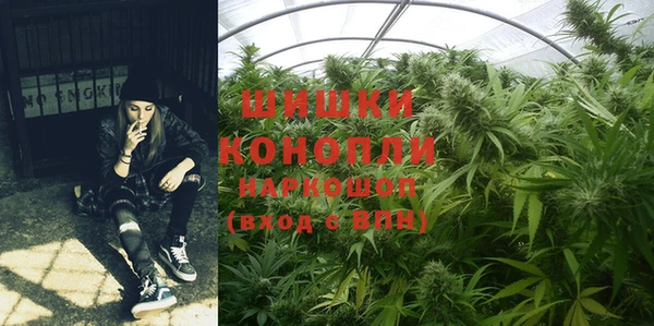 гидропоника Богородицк
