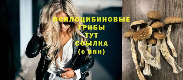 MDMA Premium VHQ Богданович