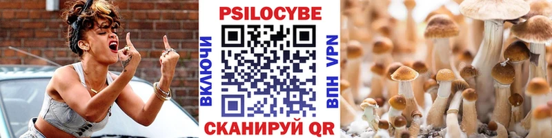Купить закладки  Себеж  Псилоцибиновые грибы Psilocybe 